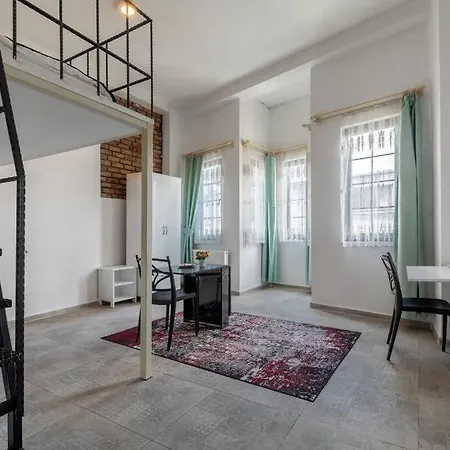 Cozy & Comfy Studio At Beyoglu - 22 Apartment Istanbul